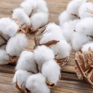bgildan_cotton_L8AxBzK.png.1000x800_q40_crop-center_upscale