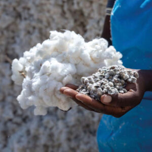 sustainability-materials-positive